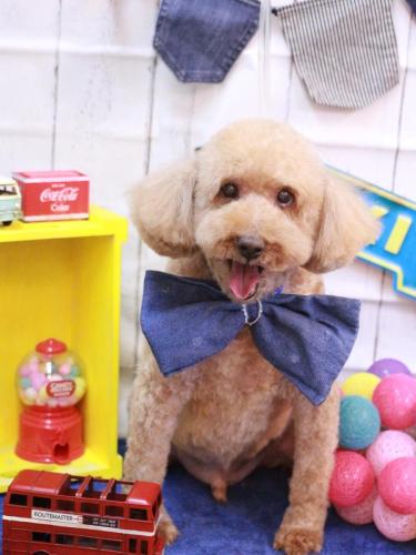 20230411ケンくん